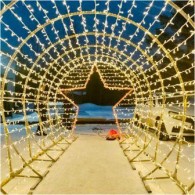 Световая арка «Звезда»